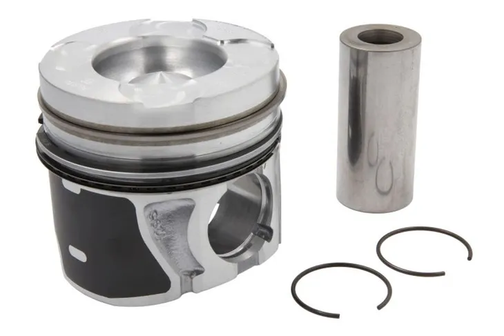 tlok-41655600-kbs