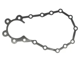 uszczelka-skrzyni-biegow-1295338145zf