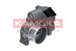 przepustnica-diesel-112013-kao