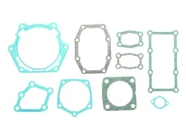 zestaw-uszczelek-skrzyni-biegow-1310298002zf