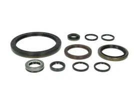 zestaw-uszczelek-skrzyni-biegow-1315298002zf