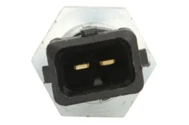 czujnik-temperatury-powietrza-dolotowego-ts10527-del