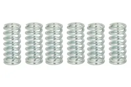 zestaw-sprezyn-sprzegla-mef102-6-trw