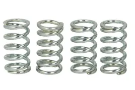 zestaw-sprezyn-sprzegla-mef104-4-trw