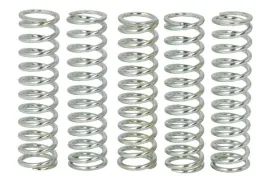 zestaw-sprezyn-sprzegla-mef105-5-trw