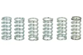 zestaw-sprezyn-sprzegla-mef106-6-trw