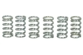 zestaw-sprezyn-sprzegla-mef110-6-trw