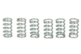 zestaw-sprezyn-sprzegla-mef107-6-trw