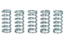 zestaw-sprezyn-sprzegla-mef111-5-trw