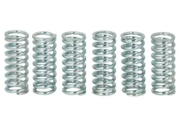 zestaw-sprezyn-sprzegla-mef114-6-trw