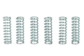 zestaw-sprezyn-sprzegla-mef117-6-trw