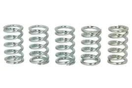 zestaw-sprezyn-sprzegla-mef123-5-trw