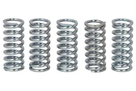 zestaw-sprezyn-sprzegla-mef133-5-trw