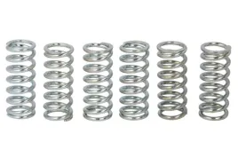 zestaw-sprezyn-sprzegla-mef128-6-trw