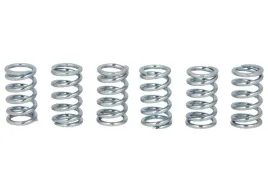 zestaw-sprezyn-sprzegla-mef123-6-trw