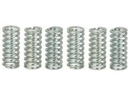 zestaw-sprezyn-sprzegla-mef124-6-trw