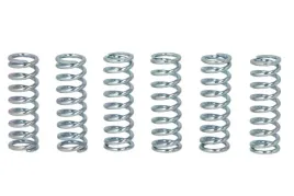 zestaw-sprezyn-sprzegla-mef137-6-trw