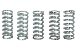 zestaw-sprezyn-sprzegla-mef142-5-trw