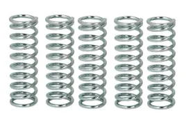 zestaw-sprezyn-sprzegla-mef144-6-trw