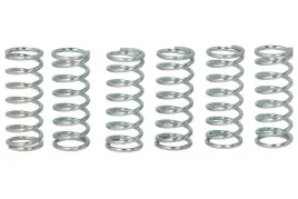 zestaw-sprezyn-sprzegla-mef150-6-trw