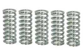 zestaw-sprezyn-sprzegla-mef149-5-trw