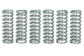 zestaw-sprezyn-sprzegla-mef152-6-trw