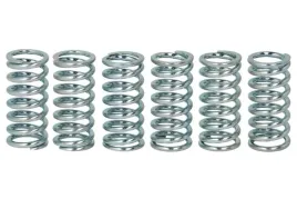 zestaw-sprezyn-sprzegla-mef158-6-trw