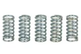 zestaw-sprezyn-sprzegla-mef159-5-trw