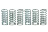 zestaw-sprezyn-sprzegla-mef160-6-trw
