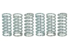 zestaw-sprezyn-sprzegla-mef160-6-trw