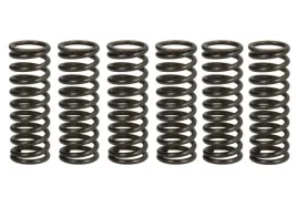 zestaw-sprezyn-sprzegla-mef308-6-trw