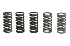 zestaw-sprezyn-sprzegla-mef309-5-trw