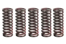 zestaw-sprezyn-sprzegla-mef312-5-trw