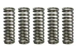 zestaw-sprezyn-sprzegla-mef319-5