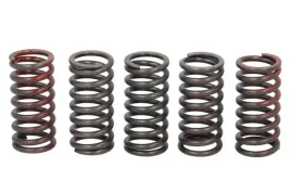 zestaw-sprezyn-sprzegla-mef328-5