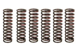 zestaw-sprezyn-sprzegla-mef306-6-trw