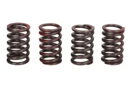 zestaw-sprezyn-sprzegla-mef329-4