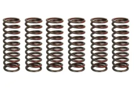 zestaw-sprezyn-sprzegla-mef334-6