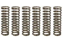 zestaw-sprezyn-sprzegla-mef338-6