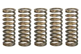 zestaw-sprezyn-sprzegla-mef344-5