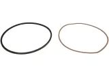 oring-4143298456zf