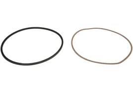 oring-4143298456zf