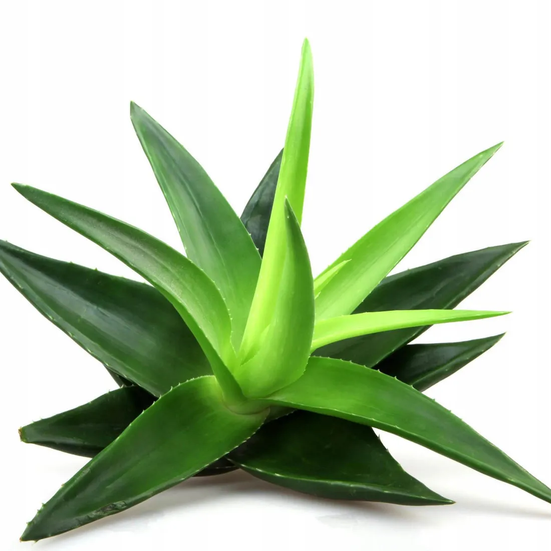 lr-aloe-vera-odprezajacy-roll-on-cbd-do-masazu-ulga-dla-miesni-stawow-50ml