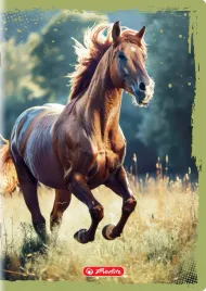 zeszyt-herlitz-animals-a5-32k-linia-podwojna-kolorowa-mix-kolorow