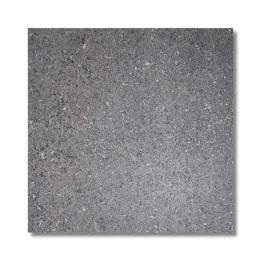 plytka-granitowa-plomien-black-pearl-60x60x2-cm