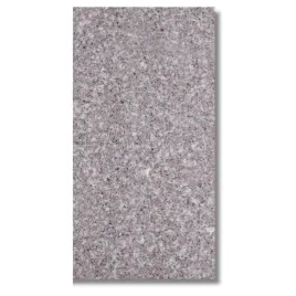 plytka-granitowa-krolewski-braz-poler-g664-61x305x1