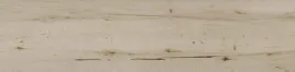 plytka-gresowa-legno-fresno-naturale-25100-cm
