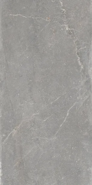 plytka-gresowa-blue-moon-grey-120x60-cm