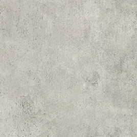 plytka-gresowa-akord-light-grey-60x60