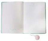 pamietnik-notes-pluszowy-a5-96k-pusheen-st-majewski-stan-nowy